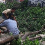 Ilustrasi-1664434788