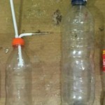 Ilustrasi-1667403558