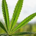 Ilustrasi-1667437100