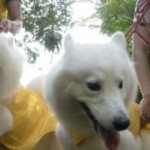 Ilustrasi-1670543179