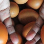 Ilustrasi-1671637377