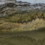 Ilustrasi-1672068659