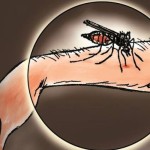 Ilustrasi. (ANTARA/HO)-1670559773