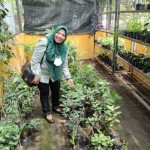Ketua Komisi D DPRD Surabaya Khusnul Khotimah (ANTARA/HO-DPRD Surabaya)-1670754399