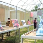 Pemprov Sulbar membuat peta peluang usaha-1670555199
