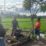 PLN NTT alirkan listrik dukung usaha pertanian di Sikka Flores-1670830275