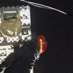 Potensi evakuasi sarang "tawon ndas"-reptil di Yogyakarta tinggi-1670903557