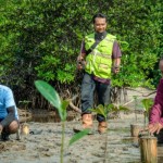 Unkhair gandeng Harita Nikel rehabilitasi mangrove di Halsel-1670740635