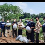 Balai Benih Ikan Depok membudidayakan ikan bala shark-1678862948