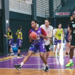 Basket-1679720796