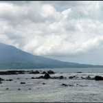 Buaya-1679550206