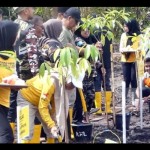 Dishut Kalsel gelorakan "Revolusi Hijau"-1679034901
