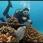 Dua desa wisata Sabang masuk ADW Indonesia 2023 Kemenparekraf-1679556614