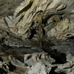 Gua-1679403410