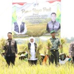 Gubernur Jatim panen padi varietas unggul di Tuban-1678348069