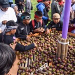 Ilustrasi - Manggis khas Wanayasa. (ANTARA/HO-Pemkab Purwakarta)-1678270820