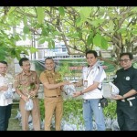 Kapuas-1679397964