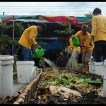 Mendulang emas hitam dari ruang dapur-1678682810
