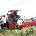 Panen raya padi di Desa Untoro, Kecamatan Trimurjo, Lampung Tengah. ANTARA/Dian Hadiyatna-1678681131