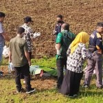 Polisi sebut pria yang tewas di sawah bukan korban penganiayaan-1679029042