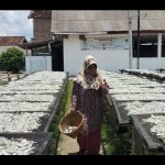 Pulau Pasaran pasok teri asin 2-3 ton tiga ton per hari ke Jabotabek-1679373172