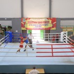 tinju-1693979745
