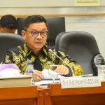 Ace Hasan Syadzily-1698656650