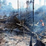 53 titik panas terdeteksi di Kalimantan Timur-1700807609