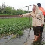 Hevearita Gunaryanti Rahayu-1701156085