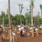Presiden RI Joko Widodo-1701227685