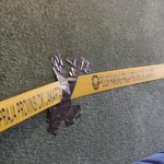 Satpol PP-1701158730