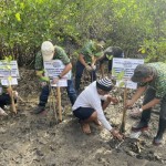 Bibit Bakau-1701414527