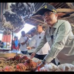 papua barat-1701506409