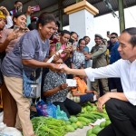 Presiden RI Joko Widodo-1701755843