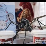 Telur Wolbachia-1702982178