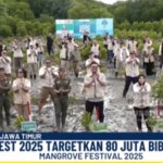 mangrove-1754043504