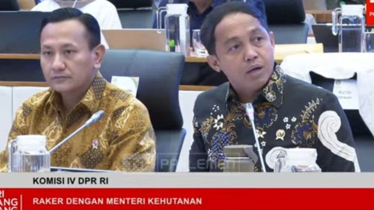 Menteri Kehutanan Raja Juli Antoni saat rapat di DPR RI. (Foto: YouTube TVR Parlemen)