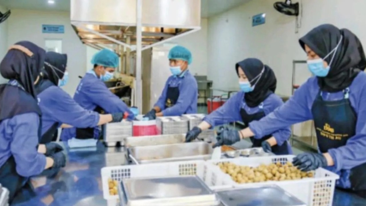 Salah satu foto program makan bergizi gratis yang ditampilkan dalam cover story Jurnal Agricultural & Rural Studies edisi volume 4 nomor 1. (ANTARA/HO-Agricultural & Rural Studes) (ANTARA/HO-Agricultural & Rural Studes) (Antara)