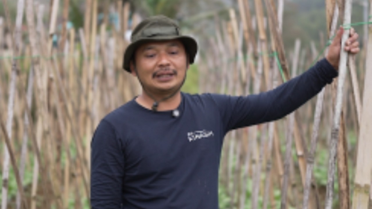 Di antara embun yang masih menggantung di daun, Budi mulai bekerja di kebunnya. (Bakom)