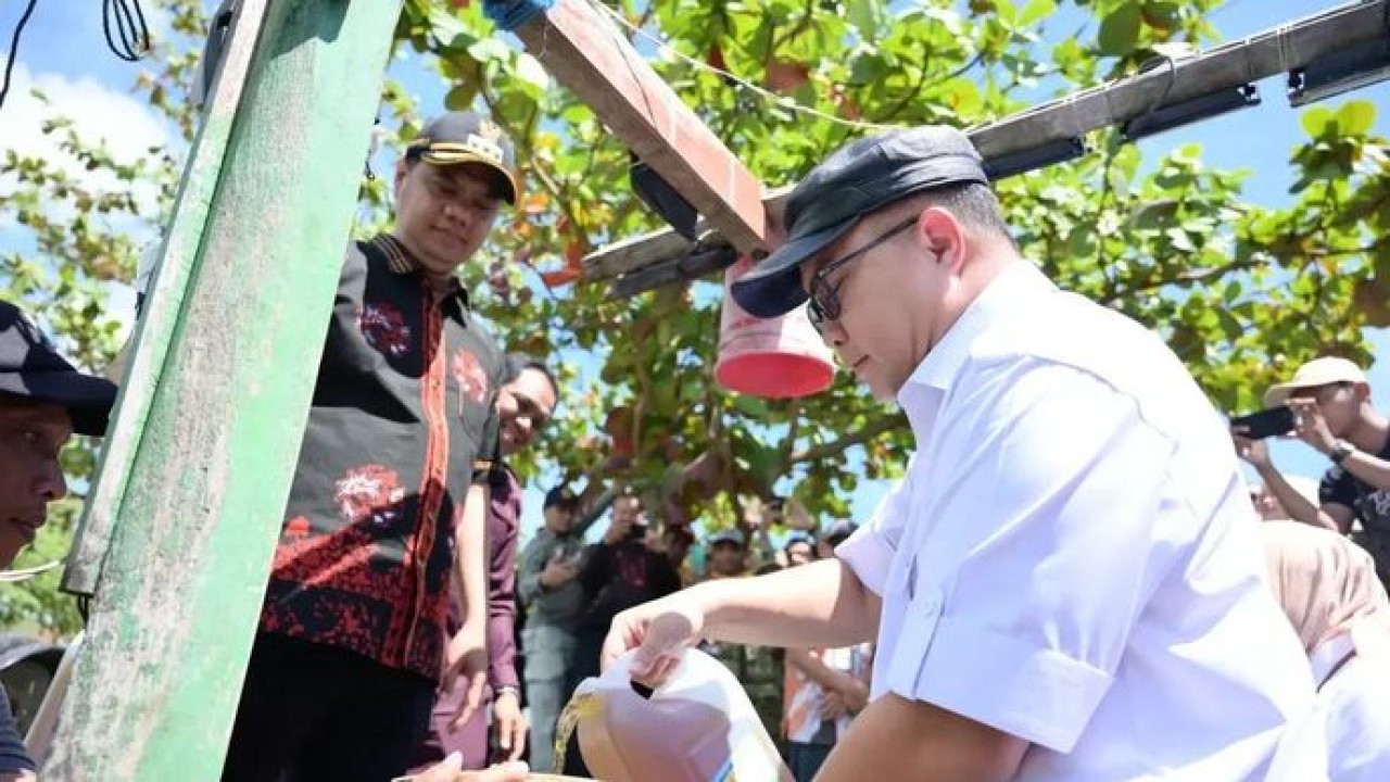 Kepala Badan Riset dan Inovasi Nasional (BRIN) Arif Satria saat meninjau uji coba Petasol di Donorojo, Kabupaten Jepara, Jawa Tengah pada Jumat (24/4/2026). ANTARA/HO-BRIN (Antara)