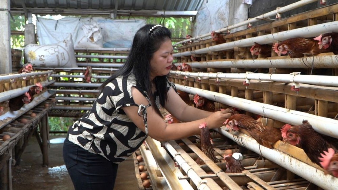 Peternak ayam petelur rumahan, Eni Melani (31), warga Desa Borangan, Kecamatan Manisrenggo, Klaten, Jawa Tengah. (Foto: Dok/Istimewa/Bakom RI)