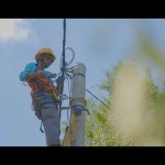 pln-1780550232