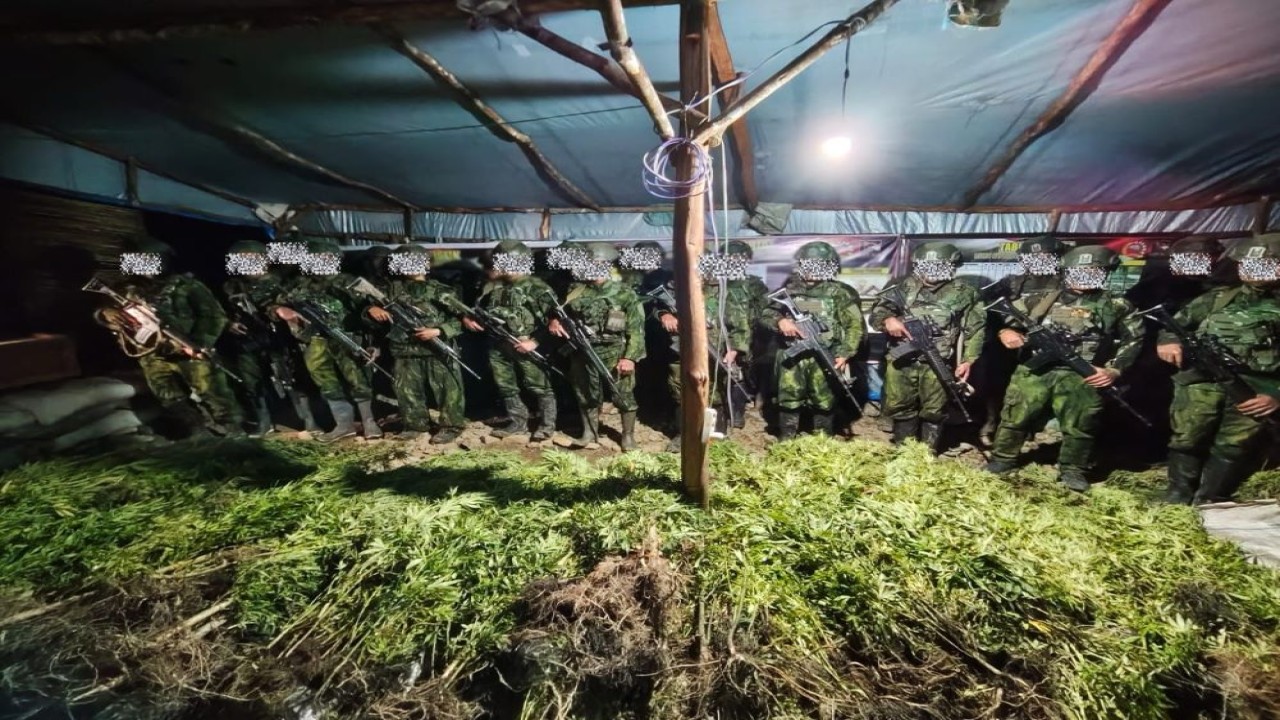 Satgas Pamtas RI–PNG Mobile Yonif 725/Woroagi Komando Operasi (Koops) TNI Habema berhasil menemukan 5.000 batang tanaman ganja di dua lokasi di Kabupaten Yahukimo, Papua Pegunungan, Senin (13/07/2026).