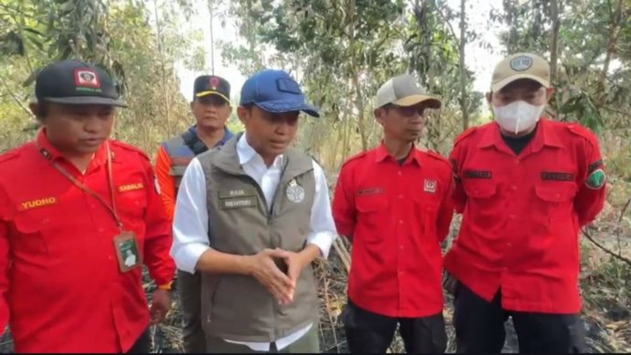 Menhut Raja Juli tinjau kebakaran di Kalimantan (Dok: ntvnews)