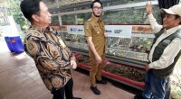 mandiri-1787199594