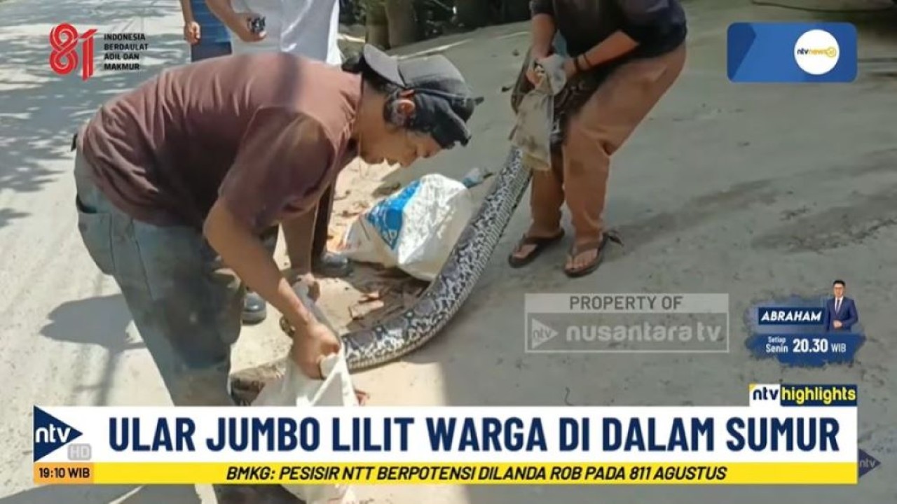 Ular jumbo lilit warga di dalam sumur. (Foto: Tangkapan layar youtube Nusantara TV @NusantaraTVOfficial)