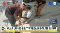 ntv highlight-1786343632