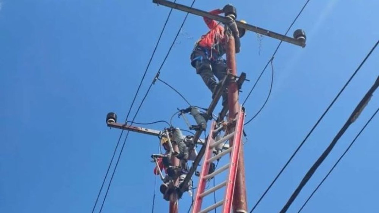 Petugas PLN berjibaku memulihkan jaringan kelistrikan Flores, Nusa Tenggara Timur, pascagempa bumi yang terjadi (Antara)