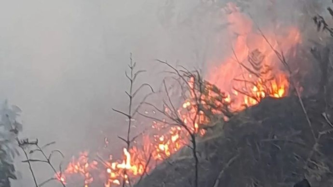 Kobaran api yang muncul di Blok Bantengan kawasan Taman Nasional Bromo Tengger Semeru (TNBTS), Senin, 3 Agustus 2026. (Antara)